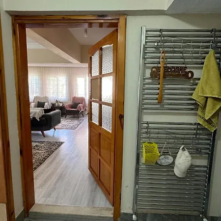 Villa Detached House With Garden In Denizli Center