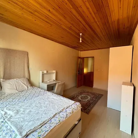 Villa Detached House With Garden In Denizli Center Denizli (Denizli)