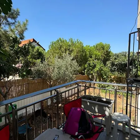 Detached House With Garden In Center *