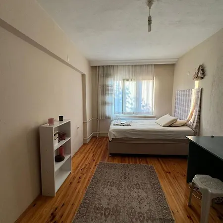 Villa Detached House With Garden In Denizli Center *