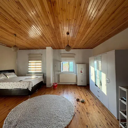 Villa Detached House With Garden In Denizli Center