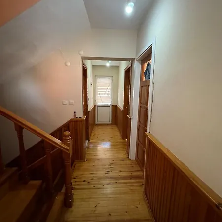 Villa Detached House With Garden In Denizli Center