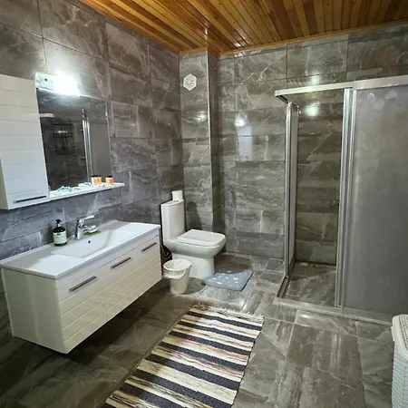 Villa Detached House With Garden In Denizli Center