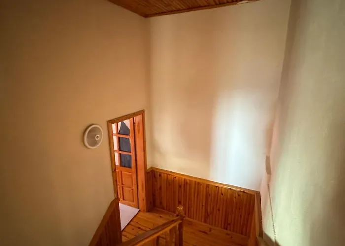 Detached House With Garden In Center *