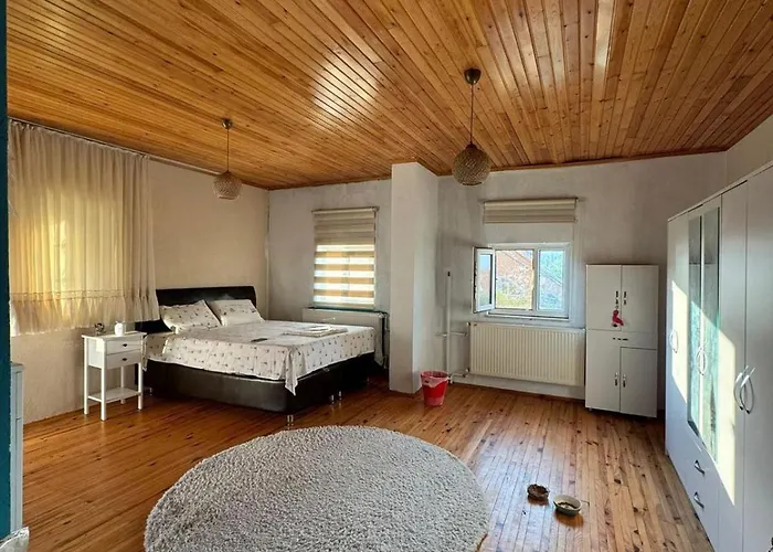 Vilă Detached House With Garden In Center *