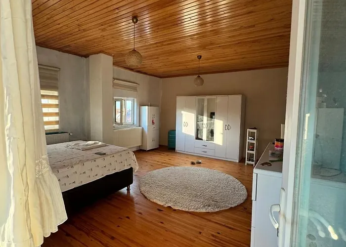 Vilă Detached House With Garden In Center Denizli (Denizli)