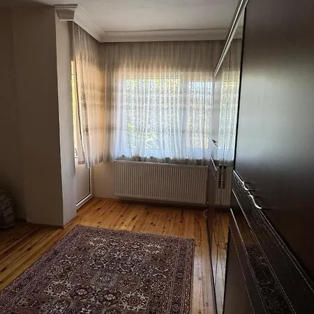 Detached House With Garden In Center