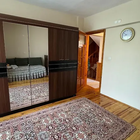 Detached House With Garden In Center Villa *