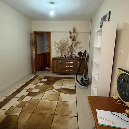 Detached House With Garden In Center * Деницли