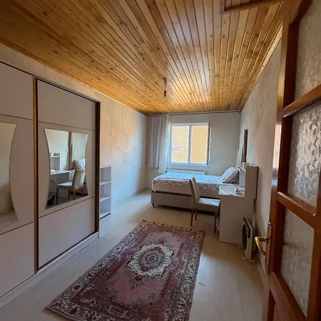 Villa Detached House With Garden In Center *