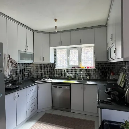 Detached House With Garden In Center