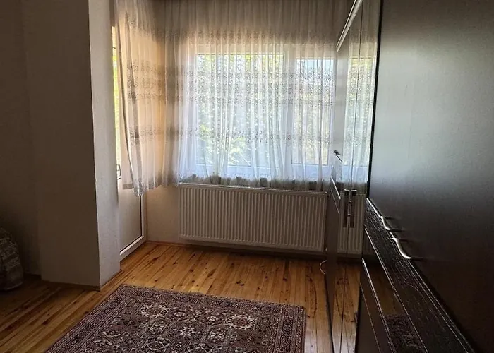 Detached House With Garden In Center