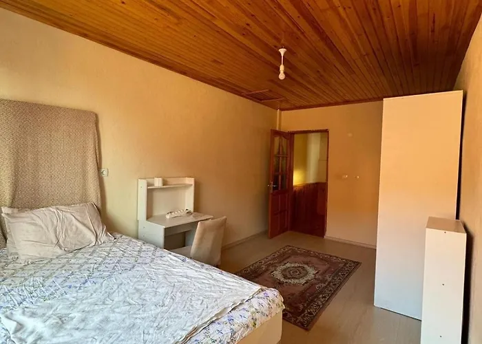 Villa Detached House With Garden In Center Denizli