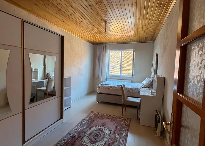 Villa Detached House With Garden In Center *