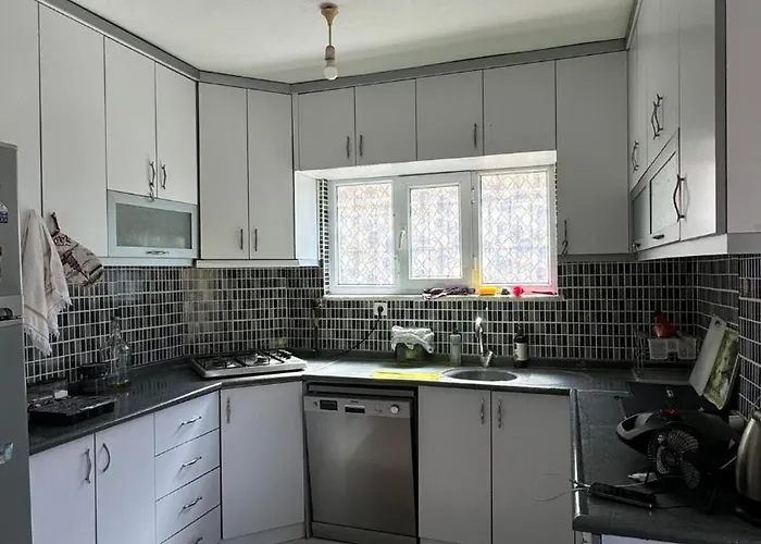 Detached House With Garden In Center