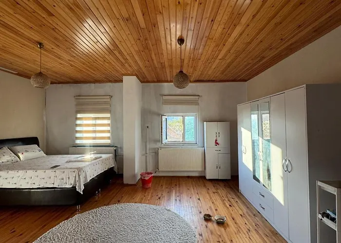 Villa Detached House With Garden In Center