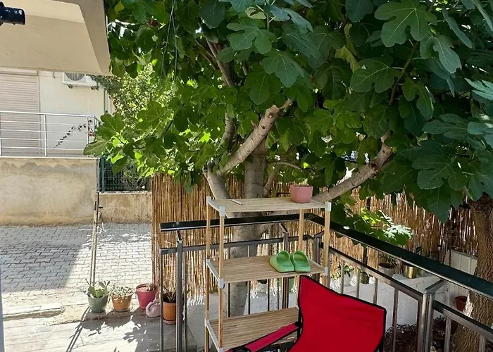 Detached House With Garden In Center Vila