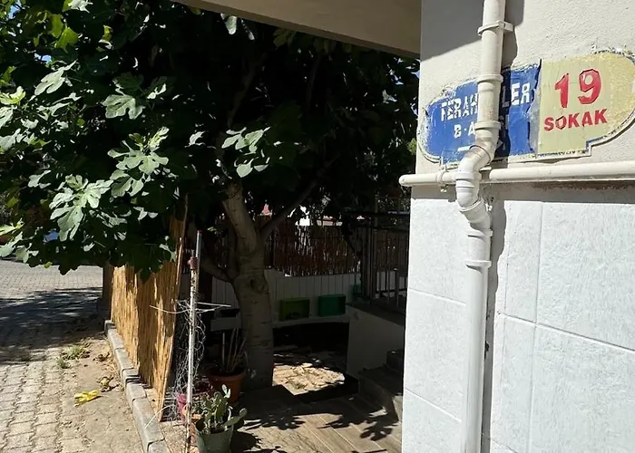 Detached House With Garden In Center *